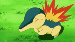 ash's cyndaquil